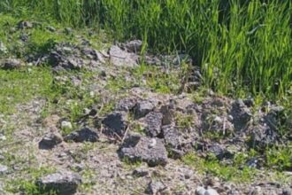 garda de mediu olt e29482amenzi de 13 milioane de lei 68a6febdd3339