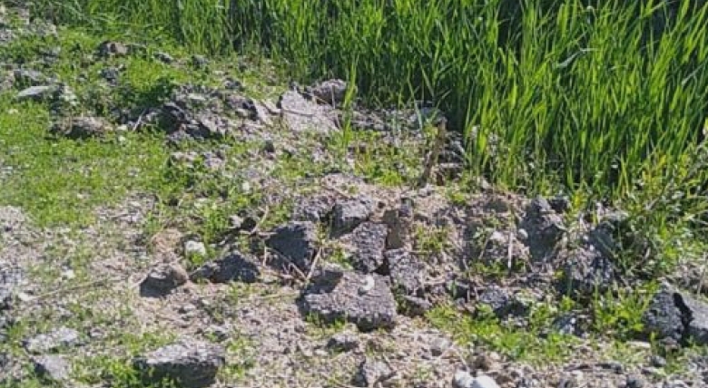 garda de mediu olt e29482amenzi de 13 milioane de lei 68a6febdd3339