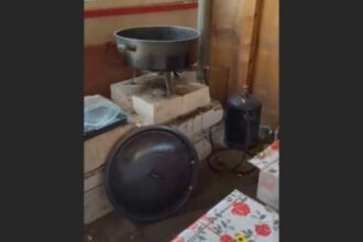 imagini revoltatoare cu gogosile vandute pe plajele de pe litoral clipul publicat in mediul online starneste indignare ati incurajat productia si comertul jegului cu glazura de zahar 68a3270816865