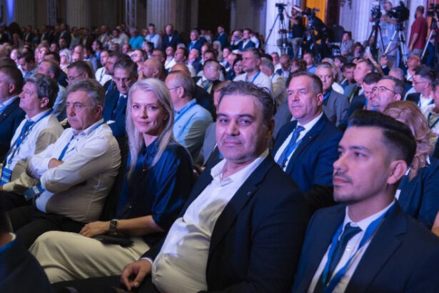 in timp ce guvernul promite decuplarea politicului de la companiile de stat un sef din pnl tocmai ce a adunat a patra functie in stat 688cb1ea68370