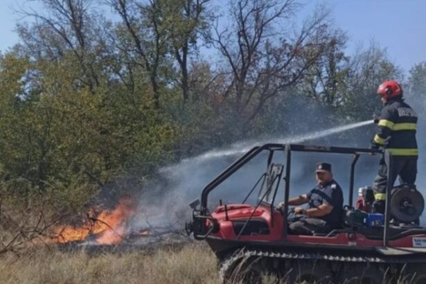 incendiu de vegetatie uscata in braila flacarile se manifesta pe linia de tramvai din apropierea statiunii lacu sarat 68af0411858fe