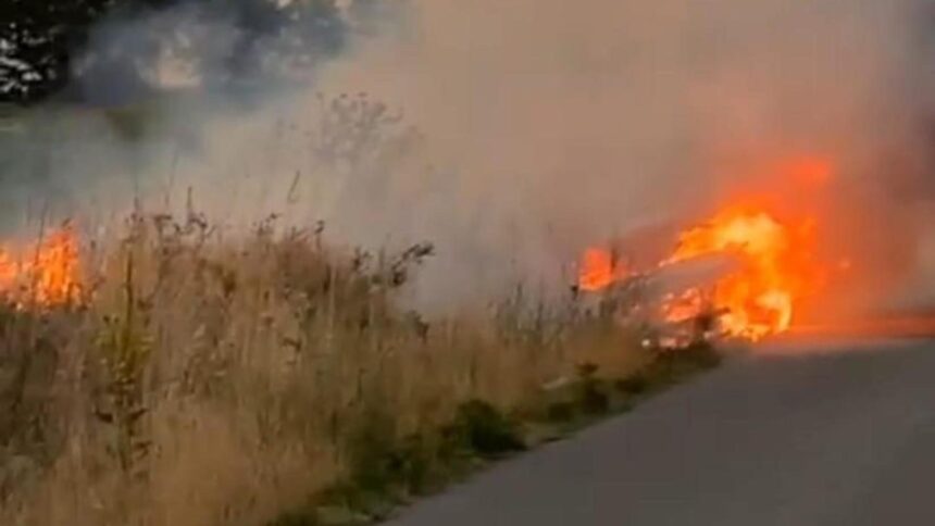 incendiu masiv in teleorman 80 de hectare mistuite de flacari 68ade817863f4