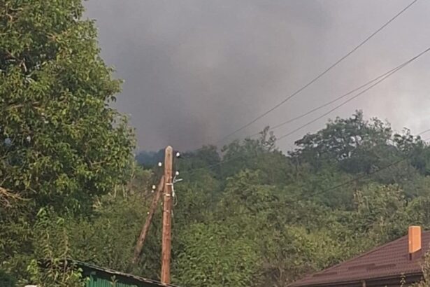 incendiu violent in cungrea focul de la vegetatie s a extins la casele oamenilor 689a23c37f007