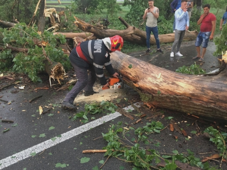 incident grav in sectroul 2 al capitalei un copac a cazut peste doua femei 68a3424a5c679