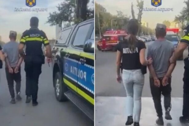 incident halucinant in prahova barbat retinut pentru uciderea cu intentie a unui caine 68b0183c85c48