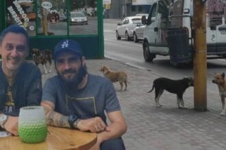 mario de mezzo vrea sa dea miliarde celor cinci angajati de la ecarisajul preluat de prietenul balan dar scolile primesc doar praful de pe toba 68b137b65ef3c