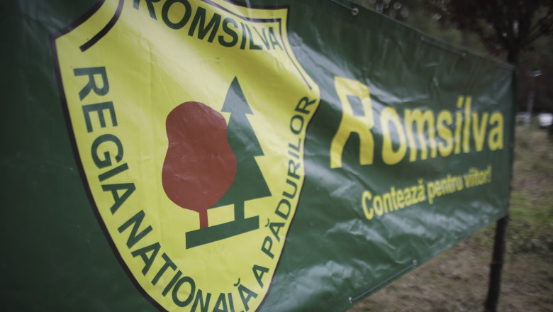 noi contracte pentru membrii ca al romsilva cu indemnizatii reduse cu peste 50 buzoianu regia se afla intr o situatie critica 68939e6037bbb