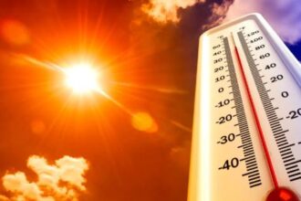 olte29482cod rosu de canicula 688c64a4eb862