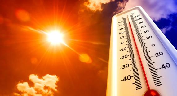 olte29482cod rosu de canicula 688c64a4eb862