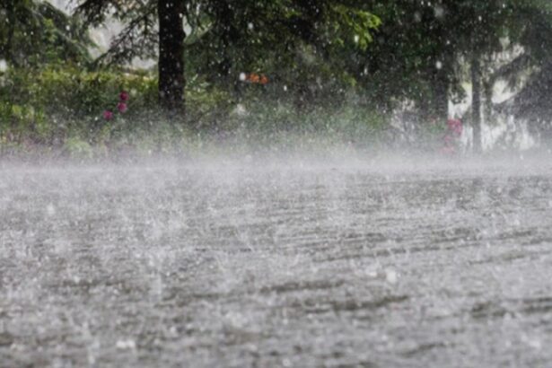 oltul sub cod portocaliu de ploi vijelii si grindina 68a341172b967