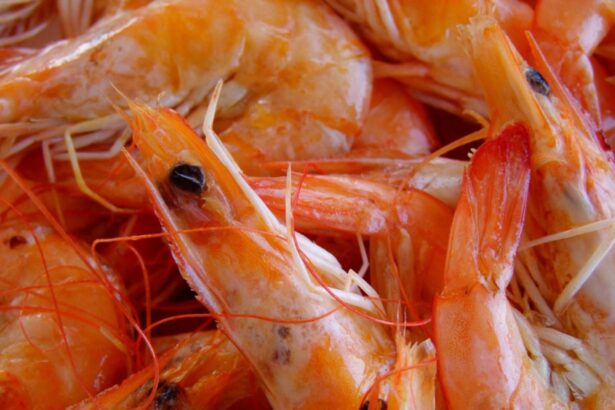 pericol alimentar creveti radioactivi intr un lant de magazine risc de cancer crescut 68a71e5e2905f