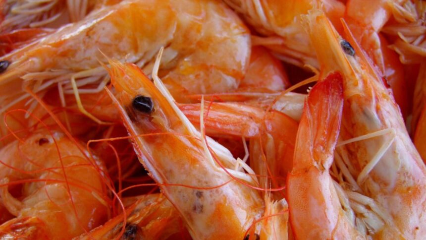 pericol alimentar creveti radioactivi intr un lant de magazine risc de cancer crescut 68a71e5e2905f