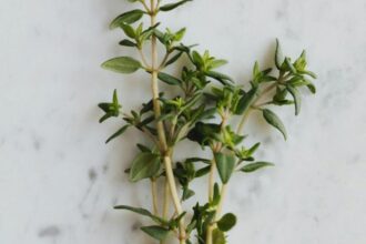 planta medicinala recomandata pentru a trata raceala si durerile in gat actioneaza ca un antibiotic natural 68afe51094617