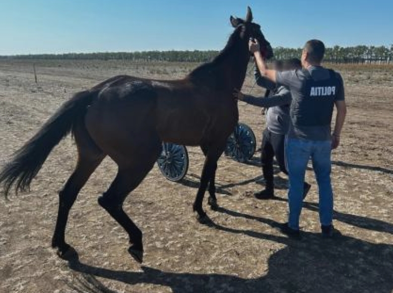 politistii olteni actiuni pentru protejarea animalelor 68ac4b7fe192b