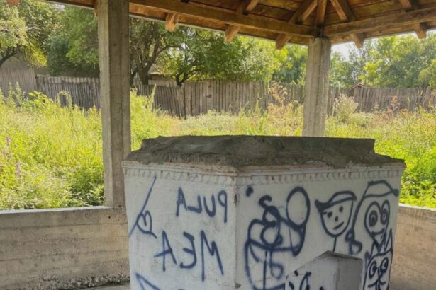 primaria dobrosloveni recompensa pentru identificarea unor localnici certati cu bunul simt 68a5cbc747cb2