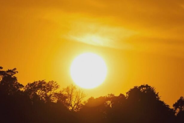 revine vremea caniculara temperaturi de pana la 37 de grade joi in olt 68a57b44963b7