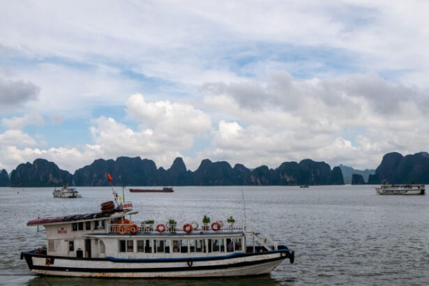 romanii si cetateni din alte 11 tari ale ue pot calatori in vietnam fara vize care sunt conditiile 6899ba079618a