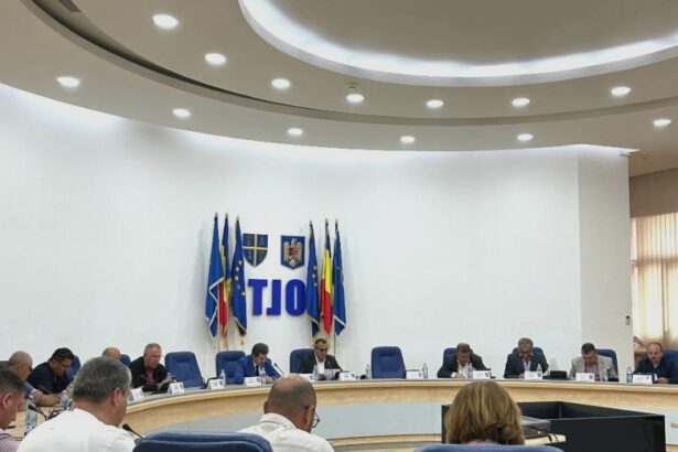 sedinta ordinara la cj olt 68b0dc56d269c