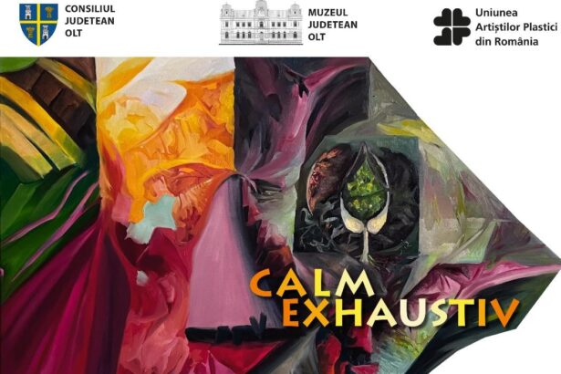 slatina expozitia de pictura calm exhaustiv dragos botezat 689b56c70eeae