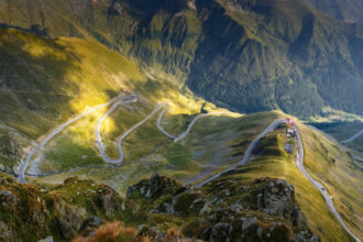 turistii atacati frecvent de cainii de la stane sfaturile si recomandarile salvamont 689712a4ad46d