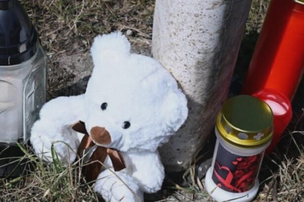 un roman din germania si a ucis logodnica apoi bebelusul intr un accident sinucigas doar fiica sa de doi ani a supravietuit 68ab12f66c6f9