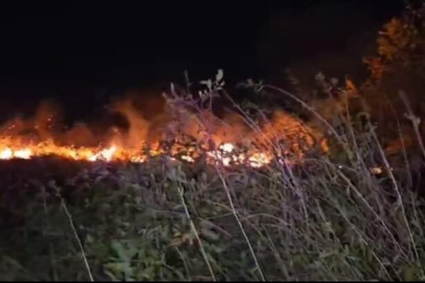 video incendiu azi noaptea si in localitatea milcov 689accc7c1578