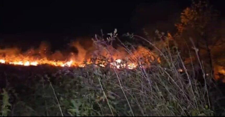 video incendiu azi noaptea si in localitatea milcov 689accc7c1578