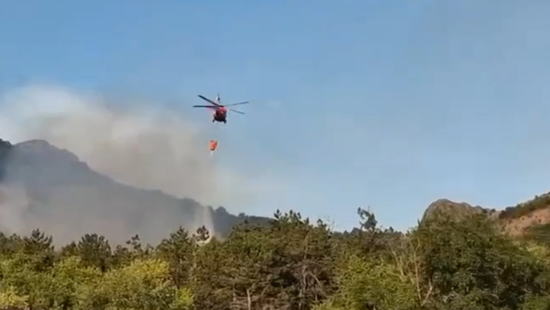 video incendiu de vegetatie in judetul tulcea flacari pe 6 hectare in zona chilia veche elicopter black hawk trimis la interventie 6890ec34c6616