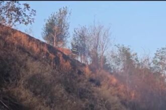 video incendiu izbucnit in slatina in zona statiei de epurare flacarile amenintau zona locuita de pe strada manastirii 689e2d112781b