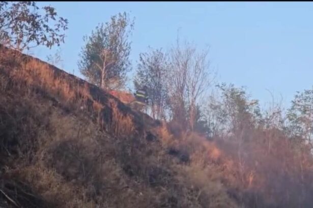 video incendiu izbucnit in slatina in zona statiei de epurare flacarile amenintau zona locuita de pe strada manastirii 689e2d112781b