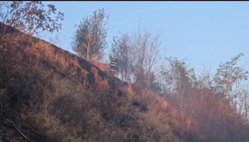 video incendiu izbucnit in slatina in zona statiei de epurare flacarile amenintau zona locuita de pe strada manastirii 689e2d112781b