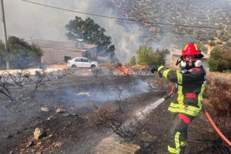video pompierii romani avertizeaza peste 250 de incendii au izbucnit in doar 24 de ore cate hectare au ars si ce i se recomanda populatiei 689afc221d3f6