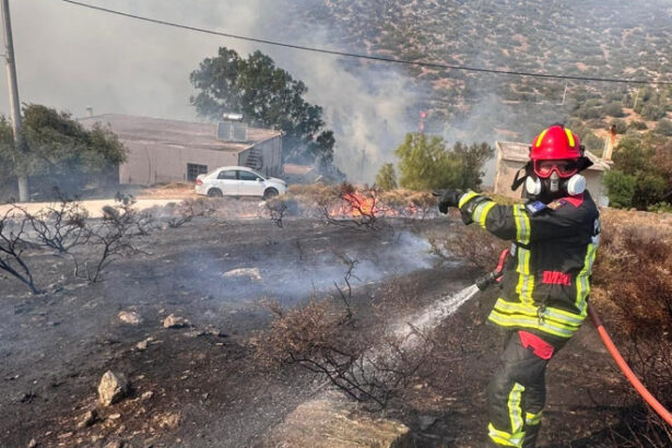 video pompierii romani avertizeaza peste 250 de incendii au izbucnit in doar 24 de ore cate hectare au ars si ce i se recomanda populatiei 689afc221d3f6