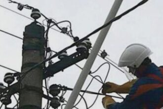 vijelia a produs 9 incidente in olt pe liniile electrice echipele distributie oltenia actioneaza neintrerupt 68a8d22acc98a