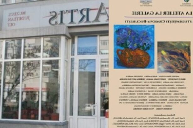 zeci de artisti din craiova si bucuresti studenti isi expun lucrarile plastice la slatina 68a5fdc15ef2b