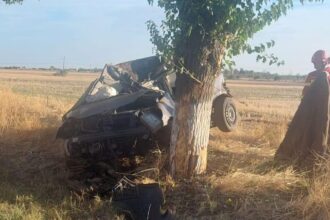 accident mortal pe drumul national 54 in afara localitatii deveselu 68c7c04cdd1ae