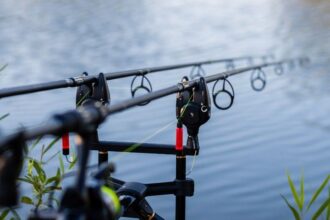 arta pescuitului sportiv cum schimba experienta o mulineta feeder 68da51f68468c