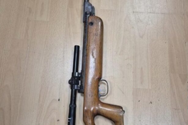 barbat din pitesti prins la un targ din arges cu o arma neletala scoasa la vanzare 68c7db0f74c81