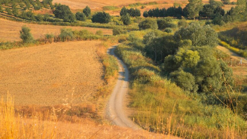 cand va avea loc echinoctiul de toamna si ce se va intampla din punct de vedere astral odata cu acest eveniment zodiile afectate 68c9233902186