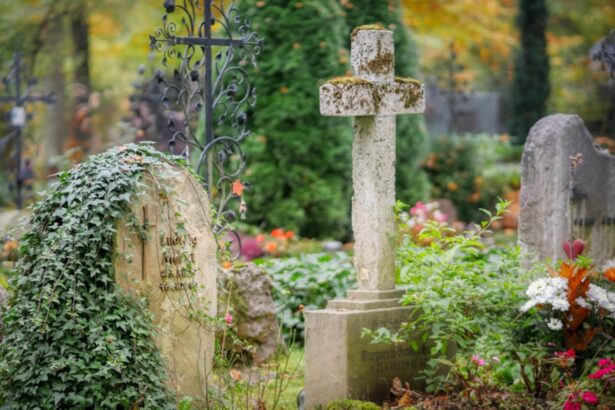 cat costa un loc de veci in 2025 afla ce taxe ascunse trebuie sa platesti 68c42995654cd