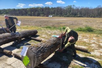 cel mai bun padurar din olt merge la etapa nationala 68cd73c6bdc5e