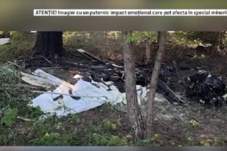 consilier aur in stare grava dupa ce s a prabusit cu avionul incidentul a avut loc in curtea unei unitati militare 68d8d519d1593