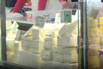 consiliul concurentei analizeaza vanzarea napolact cea mai mare companie de lactate preluata de o firma maghiara 68d6b21ced58e