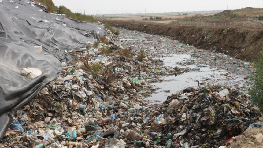 cosmarul reciclarii in capitala doar 15 din deseuri sunt tratate garda de mediu a aplicat amenzi de peste 400 000 de lei 68c43af32cd94