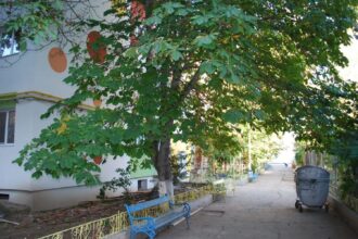 cresa de pe strada zmeurei ramane la dispozitia copiilor din slatina dupa acordul cj olt oprescu ne onoram angajamentul fata de slatineni 68d5218a2828d