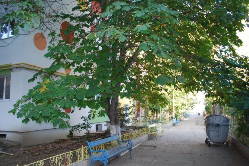 cresa de pe strada zmeurei ramane la dispozitia copiilor din slatina dupa acordul cj olt oprescu ne onoram angajamentul fata de slatineni 68d5218a2828d