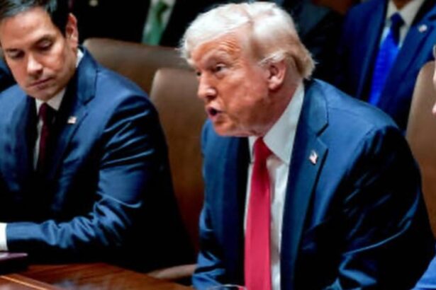 donald trump catre generalii armatei sua suntem invadati din interior 68dc1fd83295d