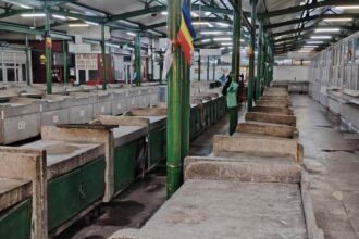 dsvsa suspendarea activitatii pietelor agroalimentare din municipiul slatina se va mentine pana la remedierea deficientelor 68d6659f3589c