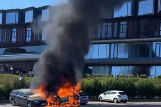 incendiu masiv langa castelul corvinilor trei masini afectate un barbat ranit usor 68d16672b98a6