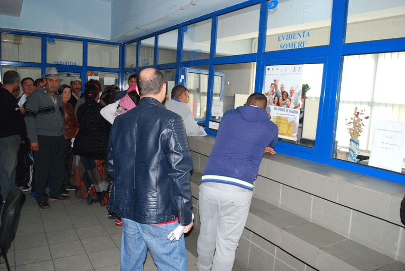 olt 591 este rata somajului 68dbab1f25f43